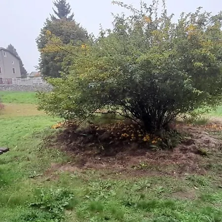 Indépendants Dans En Auvergne